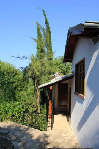 Чиралы: Dostlar Pension