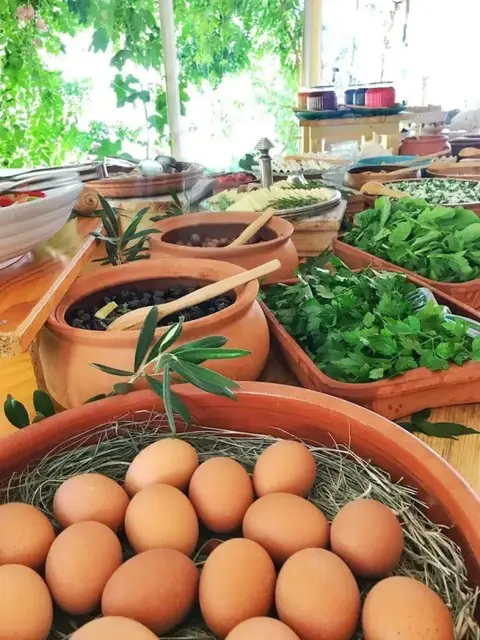 Кумлюбюк: Kocabahçe Glamping