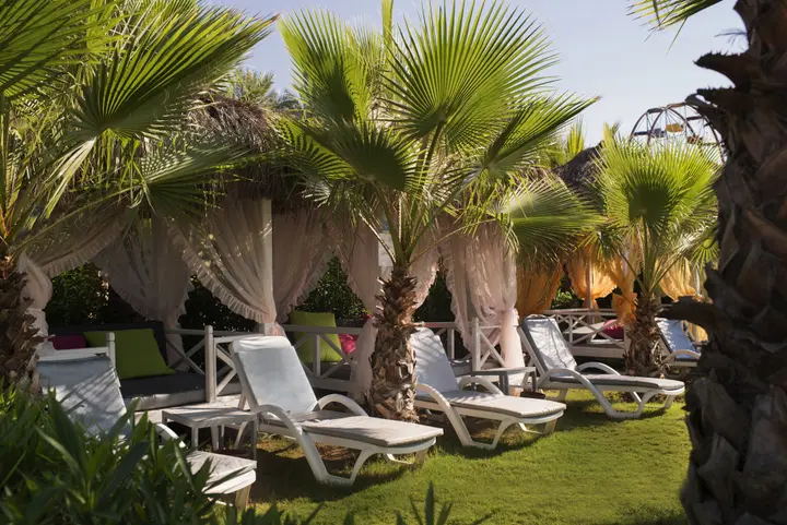 Аксу: Delphin Diva Hotel - Ultra All Inclusive