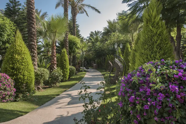 Аксу: Delphin Diva Hotel - Ultra All Inclusive