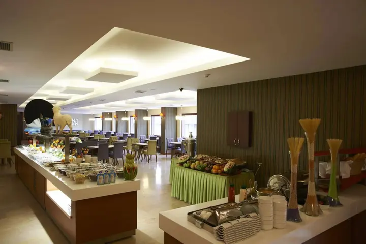 Эскишехир: Saffron Hotel