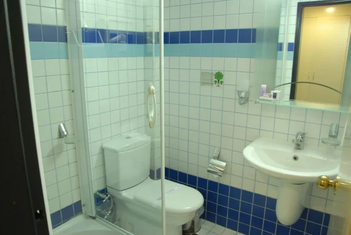 Эскишехир: Saffron Hotel