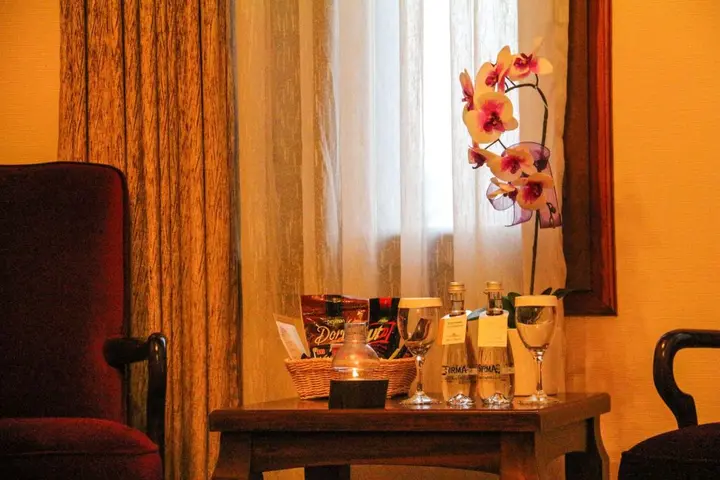 Адана: Hotel Bosnali - Special Class