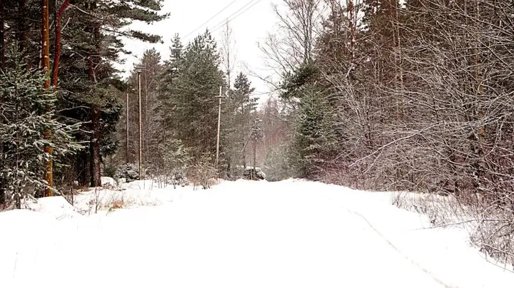 Приморск: Guest house Berezki