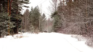 Приморск: Guest house Berezki