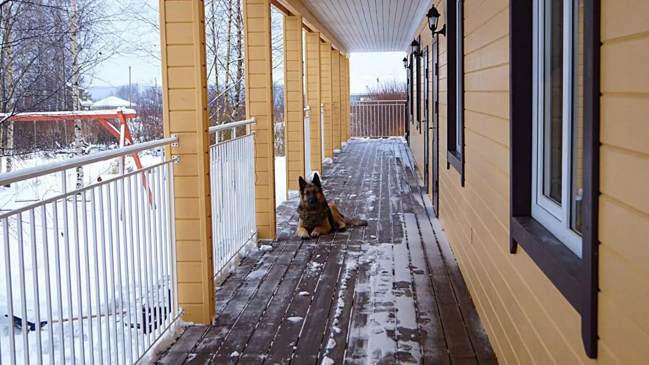 Приморск: Guest house Berezki