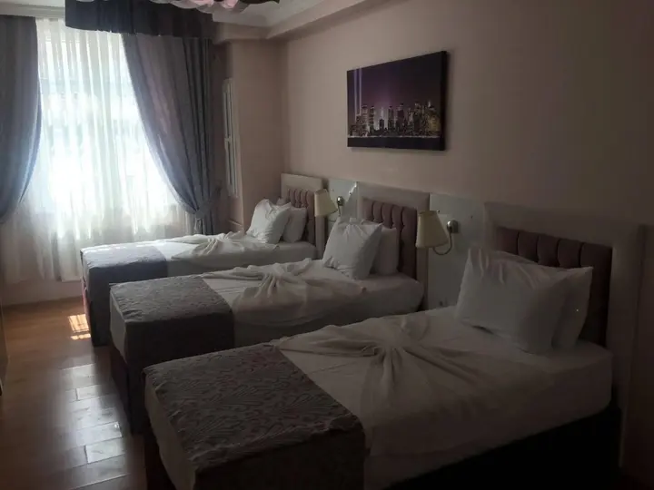 Эскишехир: SRF Hotel
