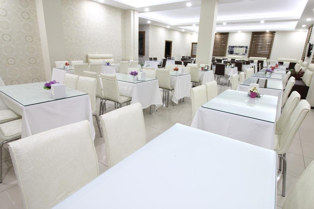 Афьон-Карахисар: Grand Ari Hotel
