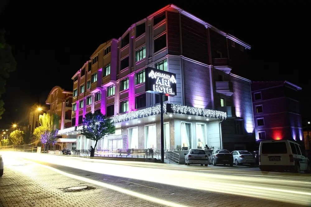 Афьон-Карахисар: Grand Ari Hotel