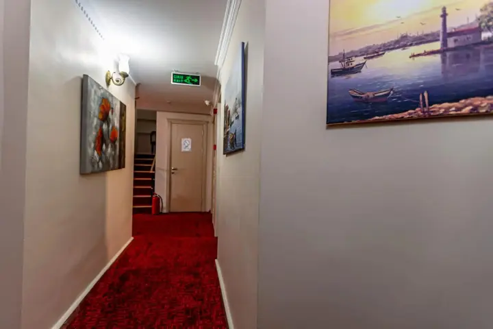 Стамбул: Elasophia Hotel
