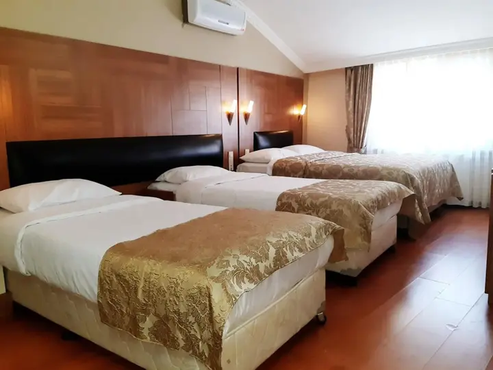 Стамбул: Elasophia Hotel