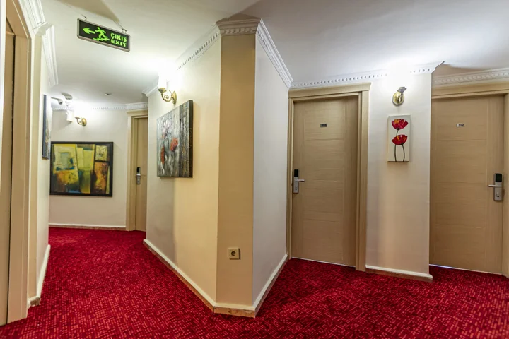 Стамбул: Elasophia Hotel