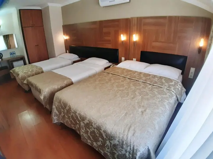 Стамбул: Elasophia Hotel
