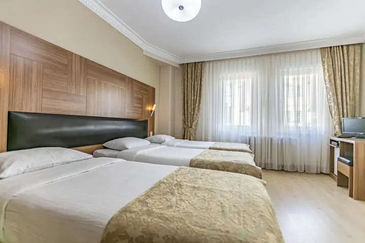 Стамбул: Elasophia Hotel