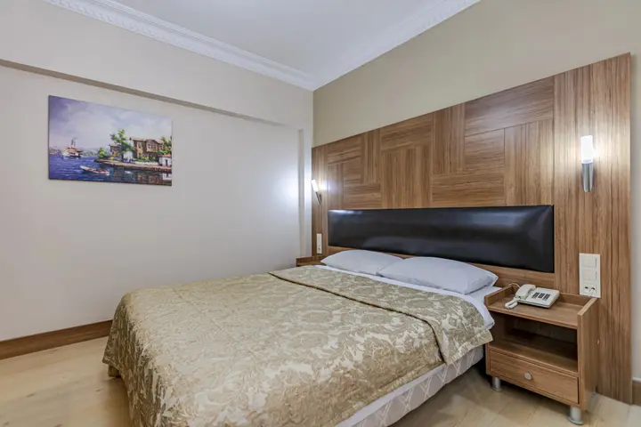 Стамбул: Elasophia Hotel