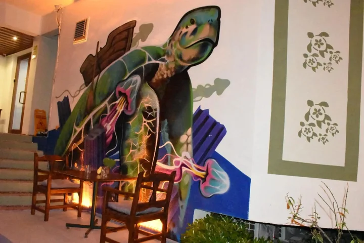 Дальян: Caretta Caretta Hotel