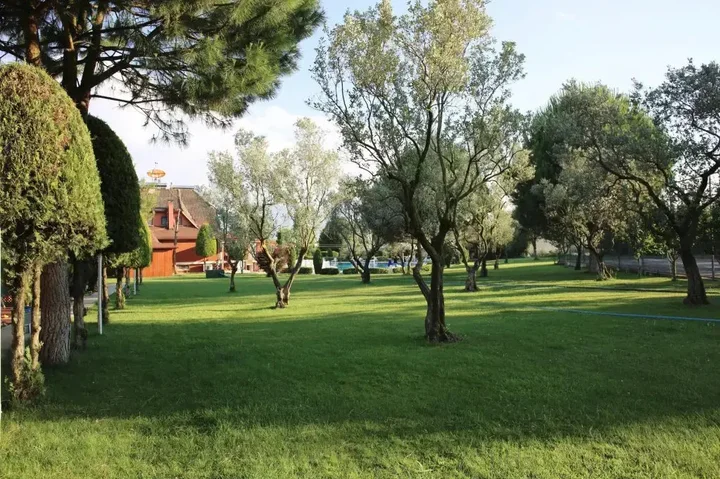 Увезпинар: Villa Familia