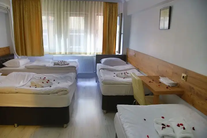 Otel Altay — фото 3