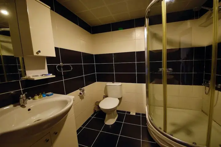 Самсун: Otel Altay