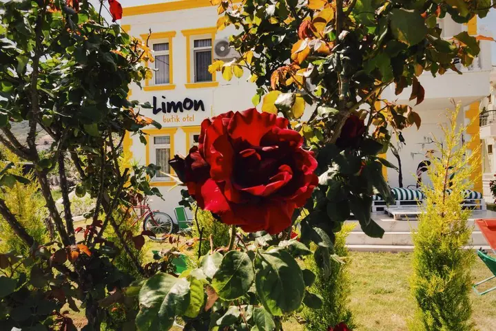 Фоча: Limon Pansiyon