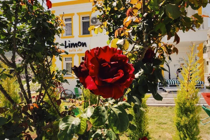 Фоча: Limon Pansiyon