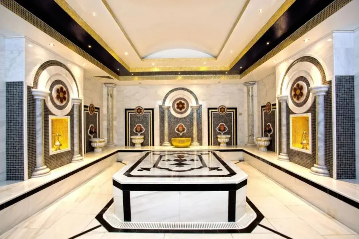 Термал: Limak Thermal Boutique Hotel - Boutique Class