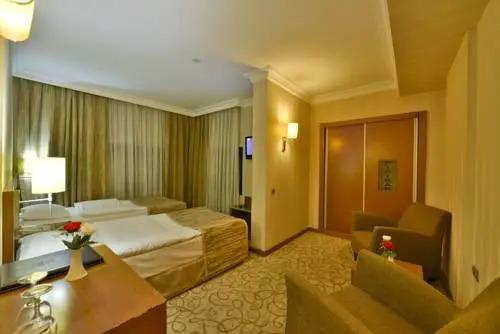 Кайсери: Almer Hotel