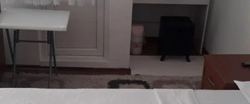 Синоп: Efua Hotel