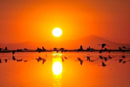 Дальян: Sun Dalyan & Yeni Adet Organic Hotel
