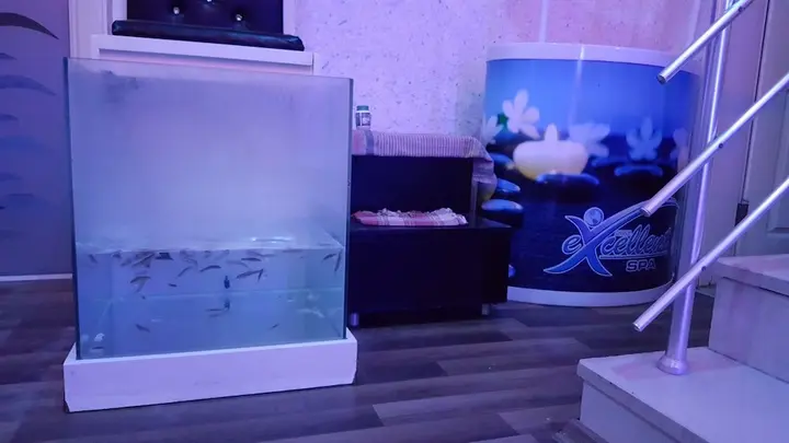 Аланья: Kleopatra Togan Suit Hotel - All Inclusive
