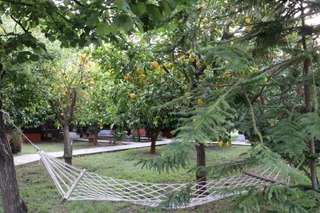 Чиралы: Plaj Hotel