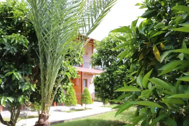 Чиралы: Plaj Hotel
