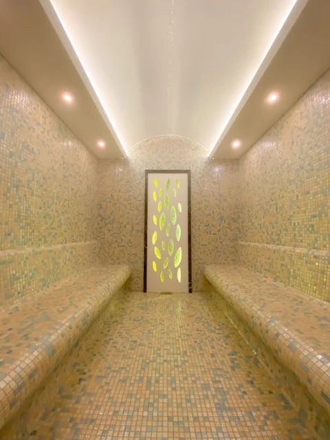 Бурса: Отель Almira Thermal Spa & Convention Center