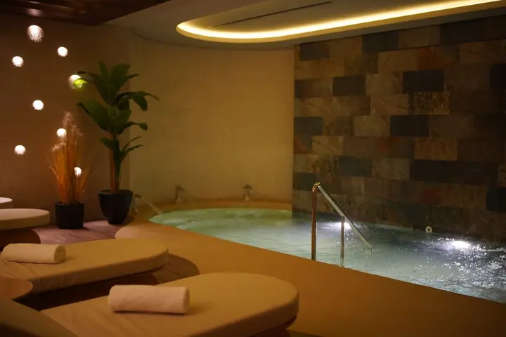 Бурса: Отель Almira Thermal Spa & Convention Center
