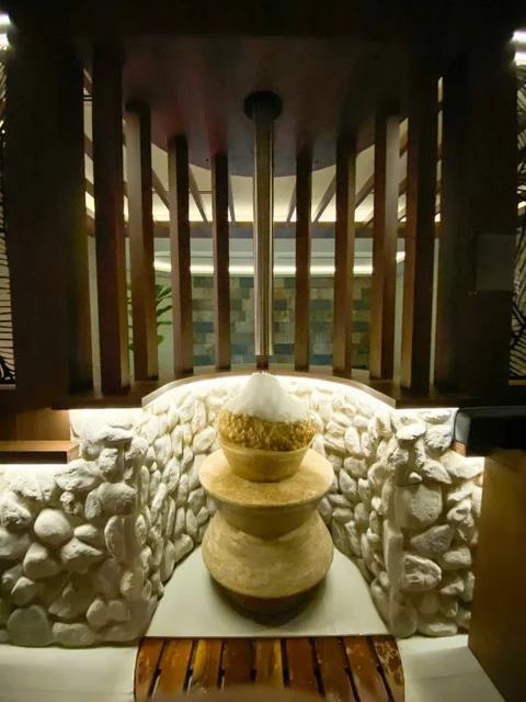Бурса: Отель Almira Thermal Spa & Convention Center