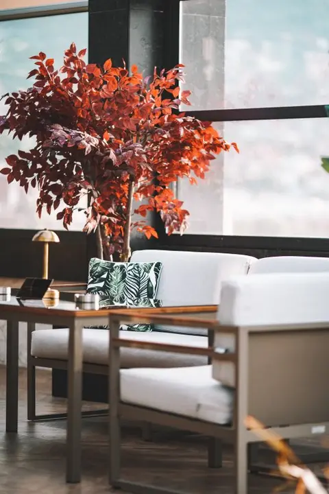Бурса: Отель Almira Thermal Spa & Convention Center