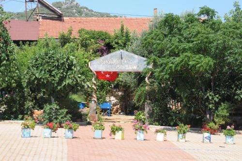 Калеучагиз: Telemenin Evi