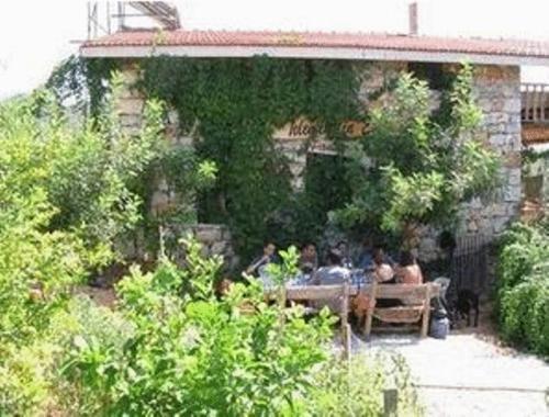 Калеучагиз: Telemenin Evi
