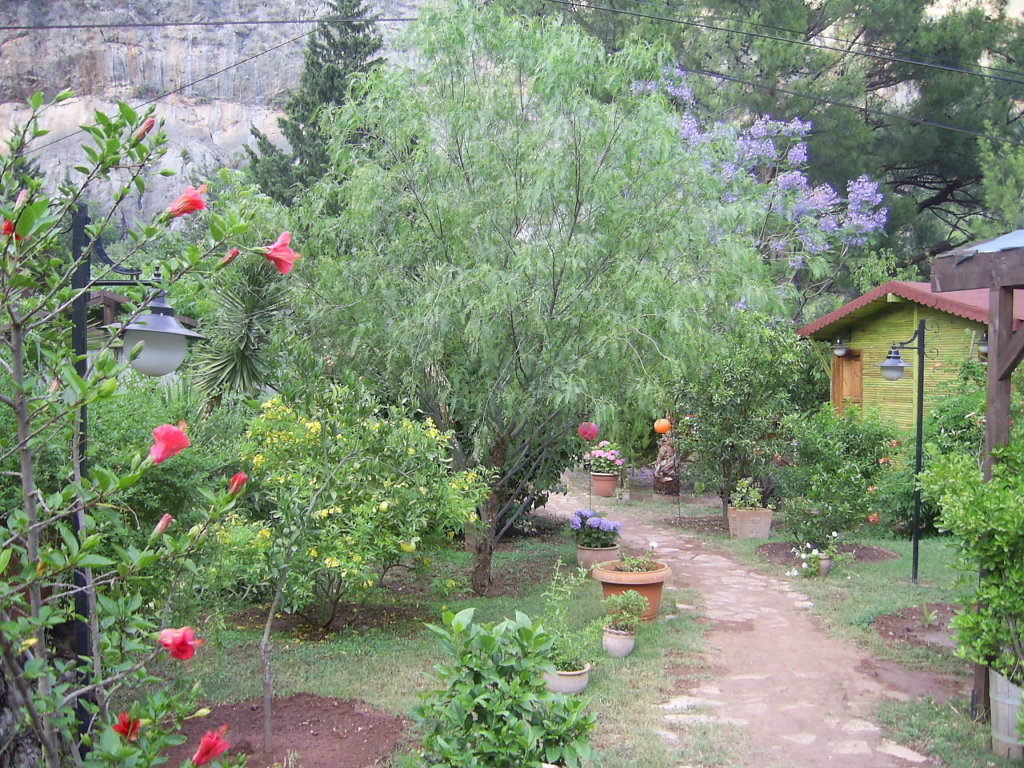 Чиралы: Kibala Hotel 