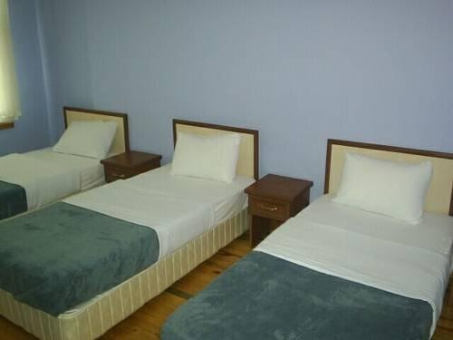 Дюздже: Tasli Hotel