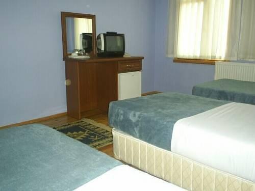 Дюздже: Tasli Hotel