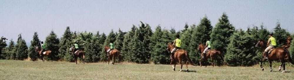 Силиври: ERKANLI COUNTRY Resort , Spa & Riding Club - Special Class
