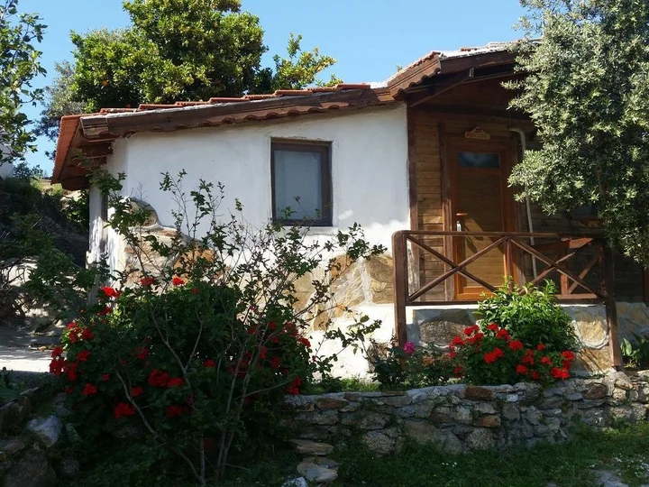 Капикири: Selenes Pension