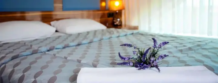 Сакарья: Sakarya Grand Hotel