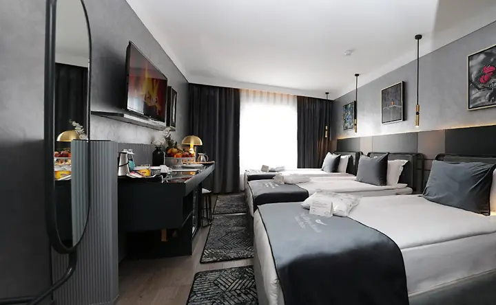 Анкара: The Wings Hotels Neva Palas
