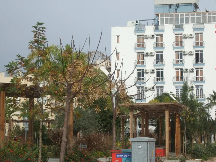 Анталья: Suntalia Hotel