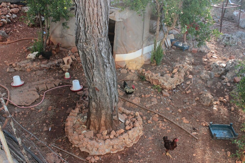 Патара: Patara Doga Apart