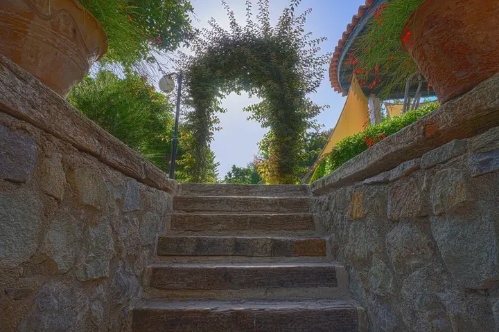 Villa Olivia — фото 2