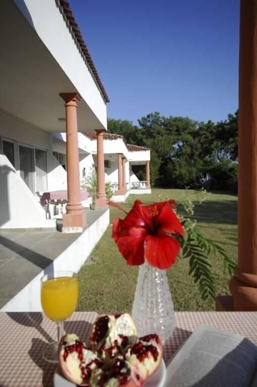 Чиралы: Hotel Odile