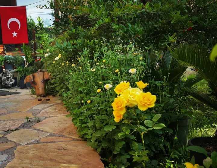 Адрасан: Adrasan Deniz Hotel